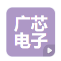 廣芯電子技術(shù)（上海）股份有限公司