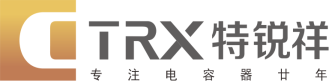 四川特銳祥科技股份有限公司攜 SMD-TRX 、SMD-NTC、DIP-TY亮相CAEE家電制造業(yè)供應(yīng)鏈展覽會